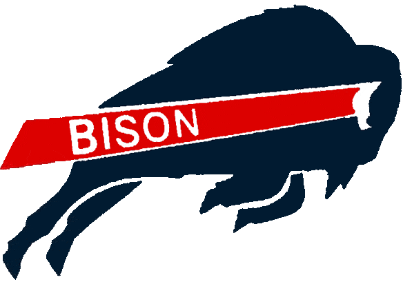 Howard Bison 2002-2014 Primary Logo iron on transfers for T-shirts